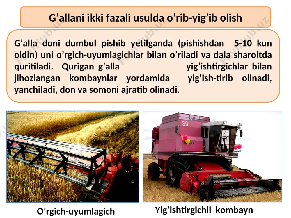 g’alla o’rish, tozalash va saralash mashinalari - Page 5