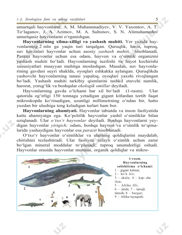 h hayvonlar, qushlar, ko‘rshapa- laklar, baqalar o‘rmon va qishloq xo‘jalik zararkunandalarini qirib, foyda keltiradi. hayvonlar orasida odamlar, chorva mollari va o‘simliklarga ziyon keltiradigan turlari ham ko‘p uchraydi. qon so‘ruvchi hasharotlar va kanalar parazitlik qilish bilan birga, o‘lat, terlama, bezgak ka- salliklarini tarqatadi. atoqli vatandoshimiz abu ali ibn sino o‘zi- ning «tib qonunlari» asarida kasallik paydo qiladigan hayvonlardan saqlanish haqida yozib qoldirgan. hayvonlarni muhofaza qilish. odamlar qadimdan yovvoyi hay- vonlarni ovlashgan; ularning go‘shti, terisi va boshqa mahsulot- laridan foydalanishgan; hayvonlarni qo‘lga o‘rgatishgan; ulardan uy qo‘riqchisi va ishchi kuchi sifatida foydalanishgan. keyinchalik aholi sonining ortib borishi, ov qurollarining tobora takomillashuvi, hayvonlar uchun zarur bo‘lgan tabiiy sharoitning buzilishi ta’sirida yevropa turi (qoramollar nasl boshi), tarpan (otlar nasl boshi), stellerov sigiri (dengiz hayvoni) yo‘q bo‘lib ketdi; prjevalskiy oti, zubr, bizon, jayron, xongul kabi hayvonlar uchun qirilib ketish xav- fi tug‘ildi. bu hol hayvonlar va ular yashaydigan muhitni muhofaza qilishni talab etadi. respublikamiz hududida noyob …