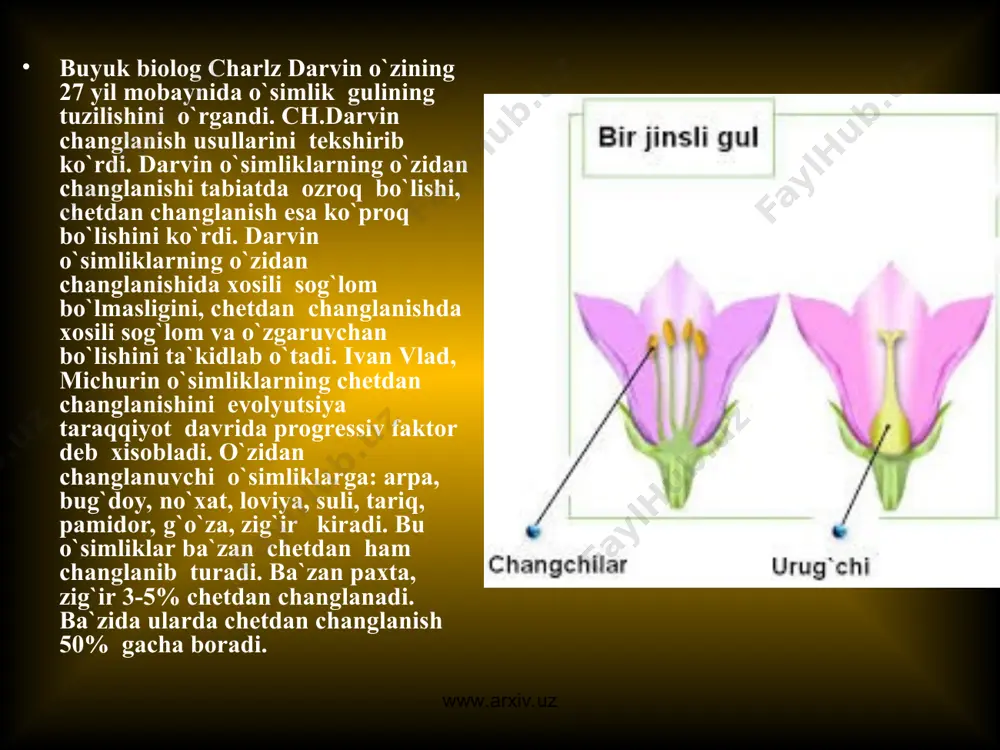 adro bo`ladi. generativ xujayraning bo`linishidan ikkita spermiy (otalik gametalari) hosil bo`ladi. vegetativ xujayradan chang naychasi o`sib spermiylarning murtak xaltachasiga yetib borish yo`li hisoblanadi. www.arxiv.uz www.arxiv.uz (onalik embrion xaltachasining rivojlanishi va tuzilishi) makrosporagenez onalik tugunining subepidermal qavatida meristemadan birlamchi arxespora xosil bo`ladi. birlamchi arxespora 2 marta bo`linib, 4 ta xujayra xosil qiladi. birlamchi arxespora 2 marta bo`lingandan, 4ta xujayra xosil bo`lgandan so`ng xujayralarning yuqoridagi 2 tasi pariyental qavat, 3 chisi tapetum, 4 si 2 lamchi arxespora deyiladi. 2 lamchi arxespora reduksion yo`lda ko`payadi. natijada 4 qiz xujayra tetrada xosil bo`ladi. tetradaning 3 tasi nobud bo`ladi, 1 tasi rivojlanadi. tetradaning 1 xujayrasining yadrosi 3 marta bo`linadi. natijada bu xujayrada 8 ta yadro xosil bo`ladi. yadroning 4 tasi xujayraning shimol qutbida 4 tasi janub qutbida joylashadi. yuqoridan 1 tasi o`rtaga tushadi. pastdan ham 1 tasi o`rtaga chiqadi. bu yadrolar qo`shiladi. bu qo`shilgan yadrolarni bola qopchig`ining markaziy yadrosi yoki ikkilamchi yadro deyiladi. yuqorida qolgan …