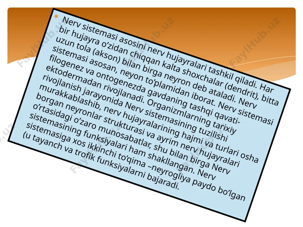 nerv sistemasi - Page 4