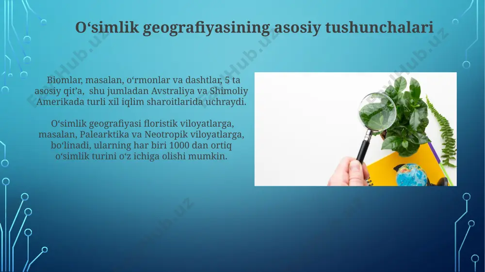 o‘simliklar geografiyasi asoslari - Page 5