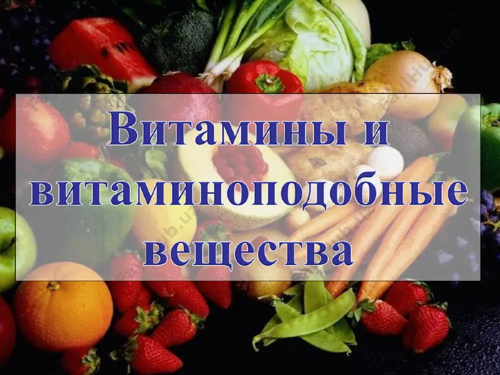2009 4 vitamini gruppi v. a.m. chibiryaev "biologicheski aktivnie soedineniya jivix organizmov", 2009 5 vitamini gruppi v. a.m. chibiryaev "biologicheski aktivnie soedineniya jivix organizmov", 2009 6 vitamini gruppi v. sutochnaya potrebnost - 10 mg, imeetsya v yaytsax, drojjax, goroxe, pecheni, pochkax, serdtse. u cheloveka sinteziruetsya kishechnoy palochkoy. u jivotnix otsutstvie vitamina v3 vizivaet dermatiti, vipadenie shersti. a.m. chibiryaev "biologicheski aktivnie soedineniya jivix organizmov", 2009 vitamini gruppi v. 7 fermentativnoe prevrashenie triptofana v nikotinamidadenindinukleotid. antipellagricheskiy vitamin. osnovnimi istochnikami yavlyayutsya ris, xleb, kartofel, myaso, pechen, pochki, morkov i drugie produkti. sutochnaya potrebnost dlya vzroslogo cheloveka sostavlyaet 18 mg. a.m. chibiryaev "biologicheski aktivnie soedineniya jivix organizmov", 2009 vitamini gruppi v. 8 vxodyat v sostav mnogochislennix fermentov - oksidoreduk-taz (degidrogenaz). v reaktsiyax degidrirovaniya, okisleniya, izomerizatsii, v fotosinteze, dixanii, energeticheskom obmene, anaerobnom rassheplenii uglevodov. a.m. chibiryaev "biologicheski aktivnie soedineniya jivix organizmov", 2009 vitamini gruppi v. 9 vitamini v6 (tri ravnotsennie formi). vxodyat v sostav bolee …