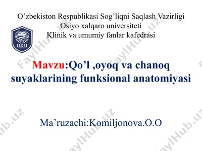 qo’l, oyoq va chanoq suyaklarining funksional anatomiyasi — PPTX