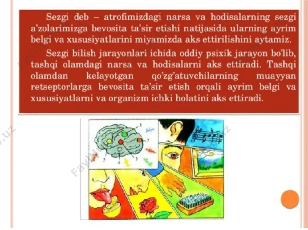 sezgi haqida ma'lumotlar - Page 4