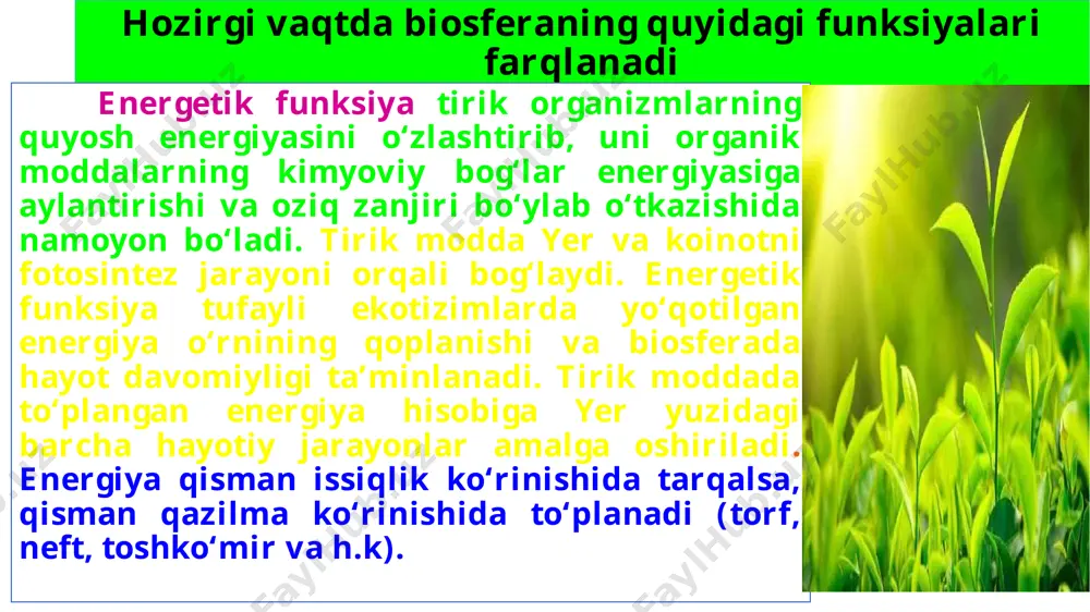 biosferadagi tirik moddaning xususiyatlari va funksiyalari - Page 5