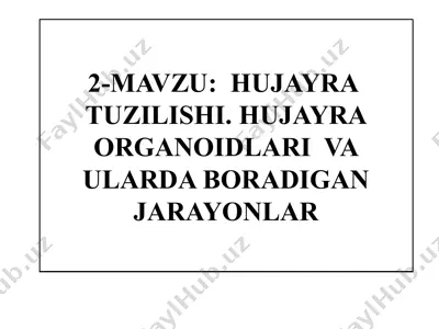 hujayra tuzilishi — PPTX