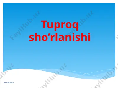 tuproq sho’rlanishi — PPTX