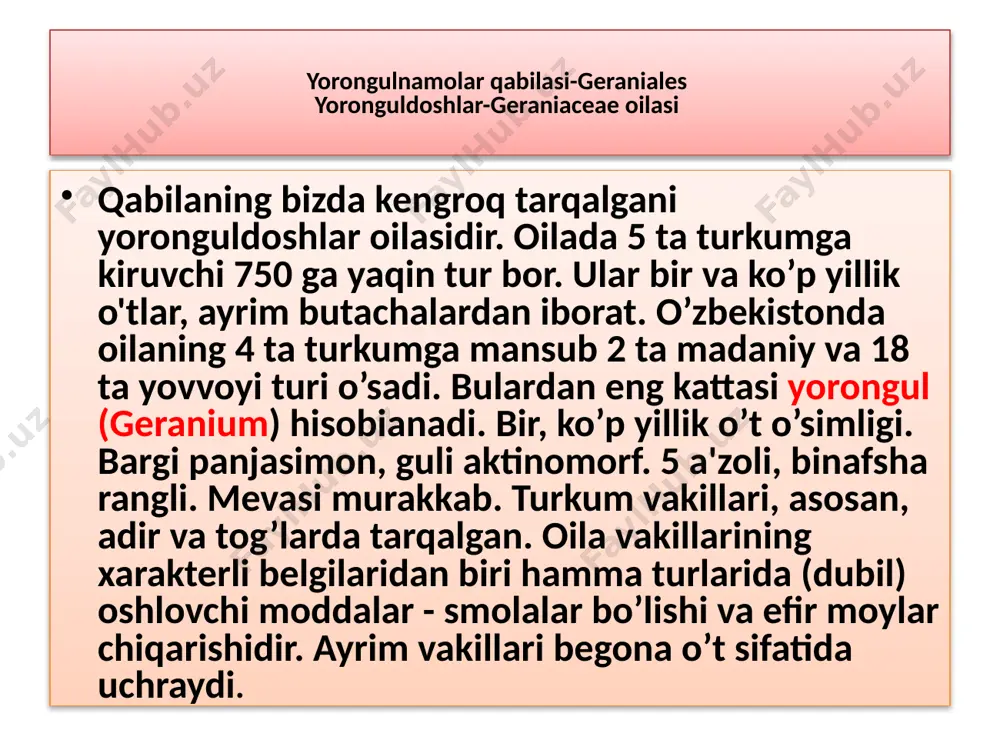 ra'nokabilar-rosidae sinfchasi. zig`irnamolar – linales qabilasi - Page 5