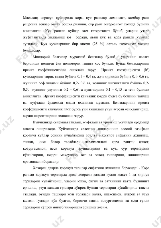 рангни терининг хамма кисмида бир хил таркалишига, гулларнинг аник, мустахкам, чиройли хаворанг, кумушсимон, гавхарсимон, сафид кук ранг туслари салмогини оширмок тавсия килинади; -сур терилари юпка ва бироз калинлашган, енгил, сурлиги яхши ифодаланган, сурлик ранг терининг хамма кисмида бир хил таркалган булиши максадга мувофикдир. сурчиликни ривожлантиришда талаб даражасидаги сур тусларига; бухоро зот типининг кумушсимон, тилла ранг туси, сурхандарё зот типининг платинасимон, бронза, янтарь ва бошқа ранг туслари, қораколпок зот типининг шамчирокгул, пулатсимон, урикгул туслари киради. бундан ташкари қоракулчиликда гулигаз, ок ва камбар куйларни урчитишга катта эътибор бериш керак. хисор куйларини селекция усули билан яхшилашда йирик, шохсиз, танаси узун, кенг, думалок, мускулатураси ва думбаси яхши ривожланган, мустахкам конституцияли ҳайвонлар яратилиши лозим. жадвал хисор куйларни баҳолашдаги минимал талаблар. синф-лар ургочи кузилар совлик кучкорлар, кг 4-5 ой- ликда 1,5 ёшда тула ёшда 4-5 ойлик 1,5 ёшда 2,5 ёшда 3,5 ёшда 4,5 ёшда элита 43 65 80 45 80 110 120 125 1синф 40 60 …