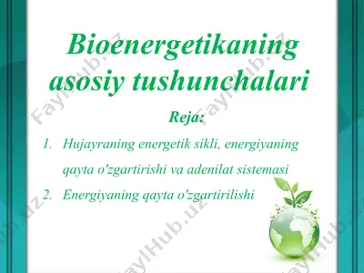 bioenergetikaning asosiy tushunchalari — PPTX