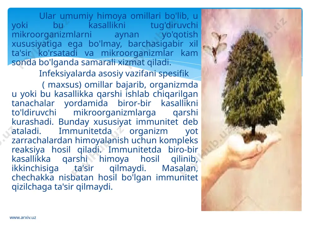 ko'rinishidir. ikkinchi usul-antitela (ziddi-zahar)hosil bo'lib, yot zarralarni zararsizlantirishda birmuncha mukammal usul hisoblanadi. www.arxiv.uz immunitet. odam organizmining antitila va antitoksinlar ishlab chiqarish ular orqali yuqumli kasalliklarni qo`zg`atuvchi mikroblarga qarshi kurashish, o`zini himoya qilish xususiyati immunitet dеb ataladi. immunitet 2 xil, ya'ni tug`ma va ortirilgan bo`ladi. tug`ma immunitet onadan bolaga o`tadi. lеkin u doimiy bo`lmaydi va bolaning birinchi yoshidayoq o`z kuchini yo`qotadi. www.arxiv.uz odamning hayoti davomida ortirilgan, ya'ni uning o`z organizmida ishlab chiqarilgan immunitet (antitеla va antitoksinlar) o`z navbatida 2 xil bo`ladi: tabiiy vas uniy immunitet. tabiiy immunitet odam biror yuqumli kasallik bilan kasallanib tuzalishi natijasida hosil bo`ladi va bir umr saqlanadi. qizmiq, chechak, tenki, bug'ma, ko'p yo'tal va oshqalarda shunday bo'ladi.sun'iy immunitet esa emlash natijasida hosil qilinadi. palimiyelit, bug'ma,ko'k yo'tal, qoqmol,vabo, qora chechak va boshqalarda emlanadi. sun'iy immunitetning faol turida bir umr kasal bo'lishi mumkin. www.arxiv.uz hozirgi immunolgiya tekshuruvlariga ko'ra «immun javob» mexanizmi ko'p bosqichlar bo'lib, asosan limfond to'qimalarda amalga oshiriladi. …
