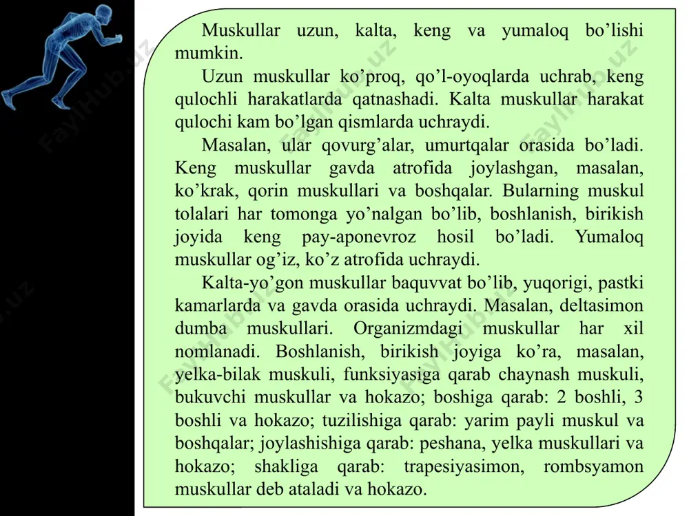mi, tirsak bo’g’imi, ayniqsa, qo’l panjasi harakatlarida aktiv ishtirok etadi. yuqorigi kamar muskullari yelka kamari, yelka oldi, panja muskullariga bo’linadi. yelka kamari muskullari yelka kamari suyaklari yuzasida bo’lib, asosan, yelka bo’g’imidagi harakatlarda ishtirok etadi. deltasimon muskul (m. deltoideus) eng kuchli muskul bo’lib, o’mrov suyagining akromial uchidan, kurakning akromial o’simtasi va qirrasidan boshlanib, yelka suyagining tashqi yuzasidagi deltasimon g’adir-budurlikka birikadi kurak osti muskuli (m. subscapularis) kurak osti chuqurchasiga joylashib, yelka suyagining kichik do’ngchasiga birikadi. u qisqarganda uzoqlashgan qo’lni tanaga yaqinlashtiradi va yelkani ichki tomonga buradi. o’siq usti muskuli (m. supraspinatus) kurak suyagining orqa o’simtasi ustida joylashgan bo’­lib, yelka suyagining katta do’ngchasi­ga va bo’g’im kapsulasiga birikadi, u qisqarganda yelkani tanadan uzoqlashtiradi. o’siq osti muskuli (m. infraspinatus) kurak suyagining orqa o’simtasi tagida joylashgan bo’­lib, yelka suyagining katta dungcha­siga hamda bo’g’im kapsulasiga birikadi. uning tagida kichik yumaloq muskul (m. teres minor) joy­lashgan. bu muskul kurakning tashqi burchagidan boshlanib, yelka suya­gining katta dungchasiga birikadi. bu …