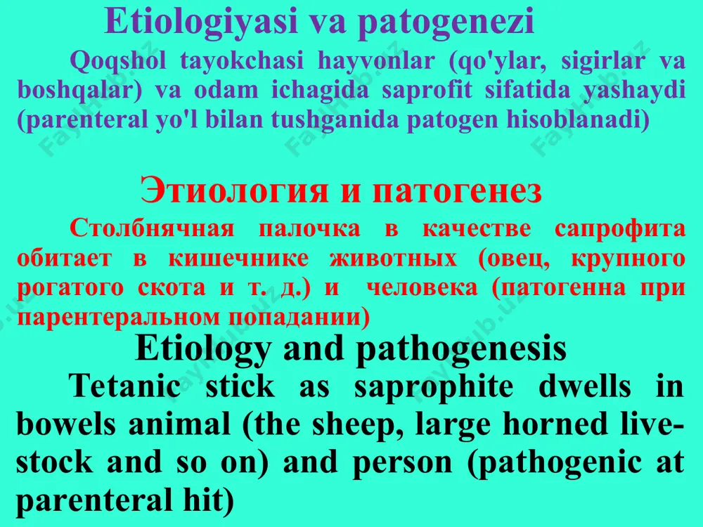 im putem. razvitiyu zabolevaniya sposobstvuyut nekroticheskie tkani v rayone proniknoveniya infektsionnogo agenta, inorodnogo tela, gnoynie zateki less, the toxins spread the hematogenic way. the development of the disease promote the necrotic tissues in region of the penetration of the infectious agent, foreign body, purulent cavity qoqsholning tasnifi : kirish darvozalariga ko'ra 1. jaroxatdan keyingi 2. kuyishdan keyingi 3. in'eksiyadan keyingi 4. operatsiyadan keyingi 5. tug‘ruqdan keyingi 6. chaqaloqlar qoqsholi po vxodnim vorotam 1. ranevoy 2. ojogoviy 3. poslein'ektsionniy 4. posleoperatsionniy 5. poslerodoviy 6. novorojdennix klassifikatsiya stolbnyaka: the categorization of the tetanus: on input winch 1. woundel 2. burnel 3. postinjection 4. postoperative 5. postnatal 6. newborn tarqalishi va joylashuviga ko'ra 1. umumiy yoki generalizatsiyalashgan 2. oyoq qo'llar qoqsholi 3. bosh qoqsholi 4. tana qoqsholi 5. aralash joylashgan qoqshol po xarakteru rasprostraneniya i lokalizatsii 1. obshiy ili generalizovanniy 2. stolbnyak konechnostey 3. stolbnyak golovi 4. stolbnyak tulovisha 5. stolbnyak smeshannoy lokalizatsii …