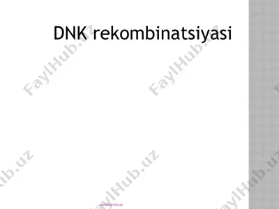dnk rekombinatsiyasi — PPTX