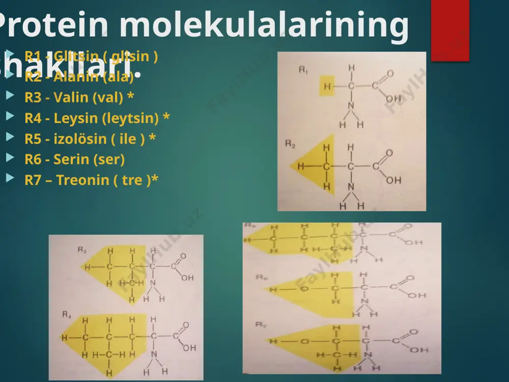 ik jarayonlar. normativ oshqozon osti bezi bez gormon insulin transformatsiya jarayonini tartibga soladi tanadagi uglevodlar glyukoza (qonda) glikogen (jigar hujayralarida) himoya tanani begona organizmlarning kirib kelishidan va zararlanishidan saqlang himoya proteinning himoya funktsiyasi ishlab chiqarishdir oqsillar - organizmga kiradigan patogenlarni yo'q qiladigan antikorlar leykotsitlar (hujayralar qon) antikor ishlab chiqarish protein tabiati salbiy ta'sir kasallikning qo'zg'atuvchisi bo'yicha (xorijiy protein) immunitet shartnoma proteinlar - qisqarishda ishtirok etadi mushak tolalari. signal (retseptor) proteinlar o'zgaruvchan atrof-muhit sharoitlariga javob berishga qodir. ta'minlash tananing mulki ajjonchilik energiya 1 g protein - 17,6 kj uglevodlar yoki yog'lar etishmasligi bilan aminokislotalar molekulalari oksidlanadi. proteinning yakuniy mahsulotlarga to'liq parchalanishi bilan chiqarilgan energiya: ammo energiya manbai sifatida oqsillar juda kam ishlatiladi. !!! proteinlarning funktsiyalarini aniqlang: tendon kollagen tuxum albumini insulin soch keratin qon trombini retinal rodopsin qon albumini interferon enzimatik reaktsiyalar fermentlar - lotincha fermentum - xamirturush fermentlar - fermentlar fermentlar - oqsilga xos katalizatorlar fermentlar metabolizmni rag'batlantiradi substrat - …