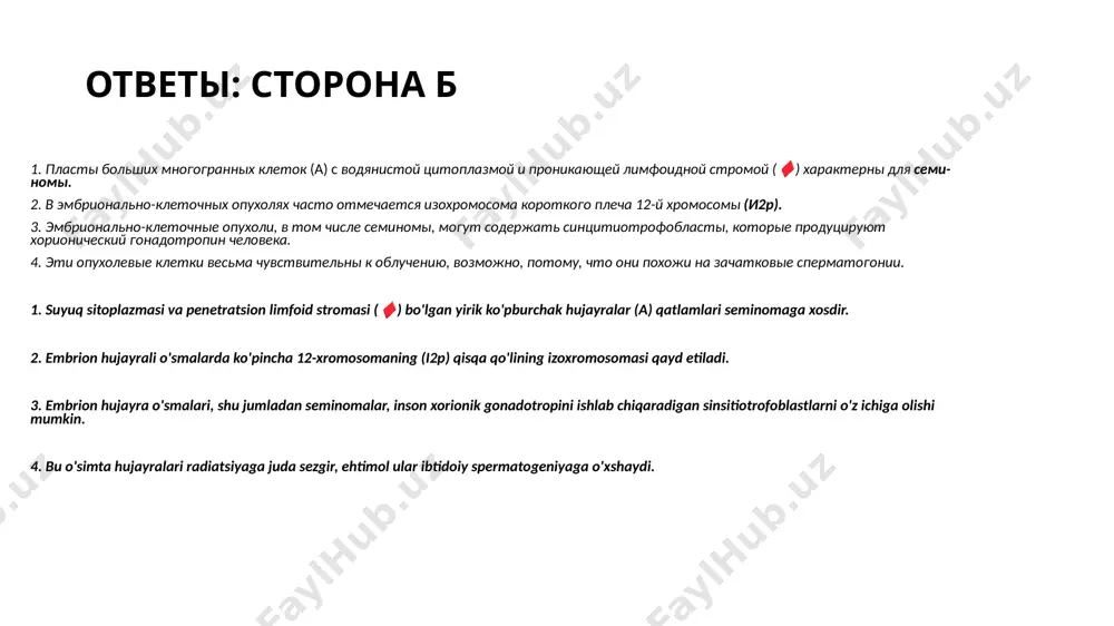 i darajada oshdi. rasmda metastazlar aniqlanmadi. olib tashlangan moyak namunasining mikroskopik rasmi ko'rsatilgan. 1. sizningcha, erkakda patologiyaning qaysi shakli rivojlangan? 2. neoplazma qanday bosqichda bo'ladi? 3. embrion hujayra o'smalari bilan qanday paraneoplastik sindrom bog'lanishi mumkin? ответы: сторона б 1. альвеолярная (•) и трубчатая (♦) картина роста больших низкодифференцированных клеток в сочетании с повышенным уровнем афп совместима с эмбриональным раком 2. тестикулярная опухоль, ограниченная яичком, его придатком или семенным канатиком, — это i стадия. 3. повышение уровня хорионического гонадотропина человека может обусловить двустороннее увеличение грудных желез, называемое гинекомастией. 1. alveolyar (•) va quvurli (♦) kam tabaqalangan yirik hujayralar o'sishi afpning yuqori darajasi bilan birgalikda embrion saratoniga mos keladi. 2. moyak, uning epididimi yoki sperma shnuri bilan chegaralangan moyak shishi i bosqichdir. 3. inson xorionik gonadotropin darajasining oshishi ginekomastiya deb ataladigan ikki tomonlama ko'krak kengayishiga olib kelishi mumkin. image1.png image2.png image3.png image4.png /docprops/thumbnail.jpeg