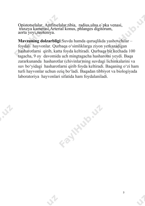 rorat bog’liq bo’ladi. 4 2.1. amfibiyalar sistematikasi. hozirgi amfibiyalarning 2500 ga yaqin turlari bo’lib, ular uchta turkumga bo’linadi: dumlilar (caudata), oyoqsizlar (apoda) va dumsizlar (ecaudata).o’zbekiston hududida dumsizlar turkumiga mansub 2 ta tur (baqa va qurbaqa) tarqalgan; dumllar turkumidan tritonlar akvariumlarda boqiladi. dumlilar turkumi — caudata. bu turkum 280 ga yaqin hozir yashab turgan turlarni o’z ichiga oladi. boshi bilinar-bilinmas tanaga o’tib ketadi, doimo yaxshi rivojlangan dumi bo’ladi. oldingi va keyingi oyoqlari bir xil rivojlangan, ba’zilarida (sirenlarda) keyingi oyoq reduksiyalangan. тana va dumini gorizontal tekislikda egab suvda suzadi yoki yerda o’rmalaydi. ko’pchiligi suvda yashaydi. bular aso-san shimoliy yarimsharda tarqalgan. dumlilar turkumi beshta kenja turkumga bo’linadi. 1) yashirinjabrapilar kenja turkumi hozirgi dumli amfibiyalarning eng soddasidir. bularning umurtqalari amfitsel, urug’lanishi tashqi. bu kenja turkumga yas 2) hirinjabralilar oilasi kiradi, bu oilaning vakili yaponiya va хitoyda tarqalgan bo’yi 160 sm ga yetadigan gigant salamandra bilan shimoliy amerikada tarqalgan bo’yi 70 sm keladigan yashirinjabradir. burchak-tishlilar …
