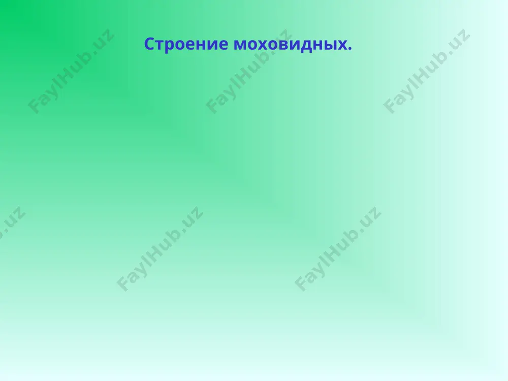 отдел моховидные, особенности строения и жизнедеятельности - Page 3