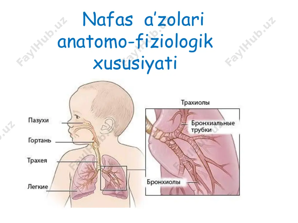 iya qilish овкатлантириш. atsidoz koreksiyasi. oksigenoterapiya. bobrova apparati orqali ilitilgan va namlangan kislorod berish. antibiotikterapiya boshlanadi ampitsilin va gentamitsin boshlanadi. eubiotiklar dizbakteriozga qarshi bifidumbakteriyalar laktobakteriyalar antibiotiklar keng spektrli antibiotiklar zambrug’ga qarshi preparatlar oksigenoterapiya oksigenoterapiya maxalliy davolash choralari ortirilgan pnevmoniyalarda burniga interferon, 1% protolgol bilan almashtrib tomchilatish; uvch elektroforez eufillin, novokain, kalsiy bilan ingalyatorlar, aerozolar; фойдаланиладиган адабиётлар асосий адабиётлар 1. а.v.alimov. neonatologiya, toshkent, 2012. 2. н.п.шабалов. неонатология, санкт - петербург, 2004. 3. основы ухода за здоровым и больным новорожденным ребенком. камилов а.и., ташкент. 2007 4. решение проблем новорожденных. руководство для эффективной практики. воз 2005. кушимча адабиётлар 5. чакалоклар реанимацияси. тошкент. 2014. 6.эффективная перинатальная помощь и уход (эпу) 7. кукрак сути билан боқиш. д.и.махмудова, м.н.ахмедов, а.л.толипова ва бошқ. тошкент, м.медицина ,2003 8. внутриутробные инфекции у новорожденных.з.ж.рахманкулова, з.с.камалов, т.у.арипова ташкент ,2016 9. неонатология национальное руководство, н.н.володин, е.н.байбарин, г.н.буслаева, д.н.дегтярев. 2008.москва 10. руководство участкового педиатра т.г.авдеева, 2008, москва 11 тепловая защита новорожденного.практическое руководство (безопасное …