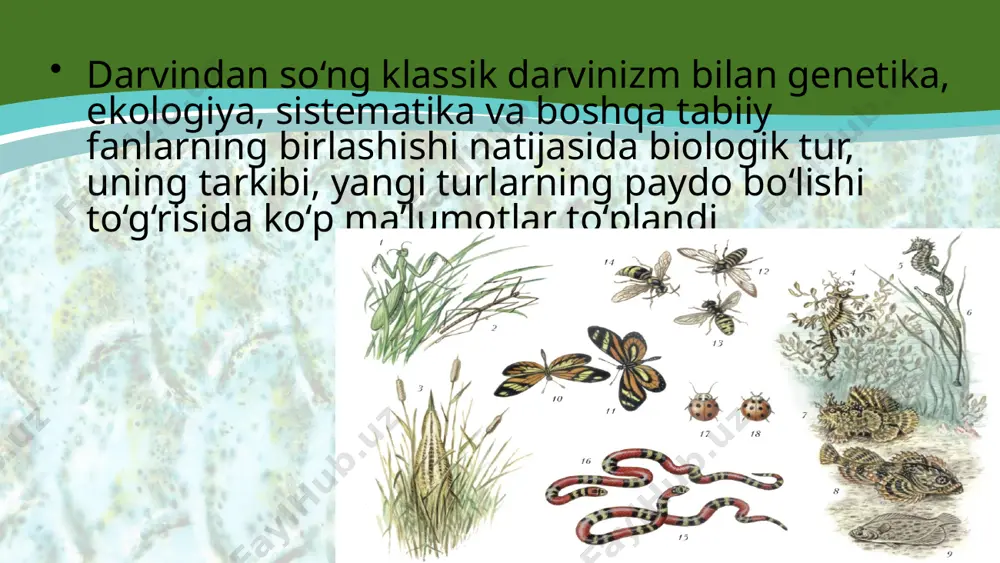 turlarning paydo bo‘lishi. 10 - sinf - Page 5