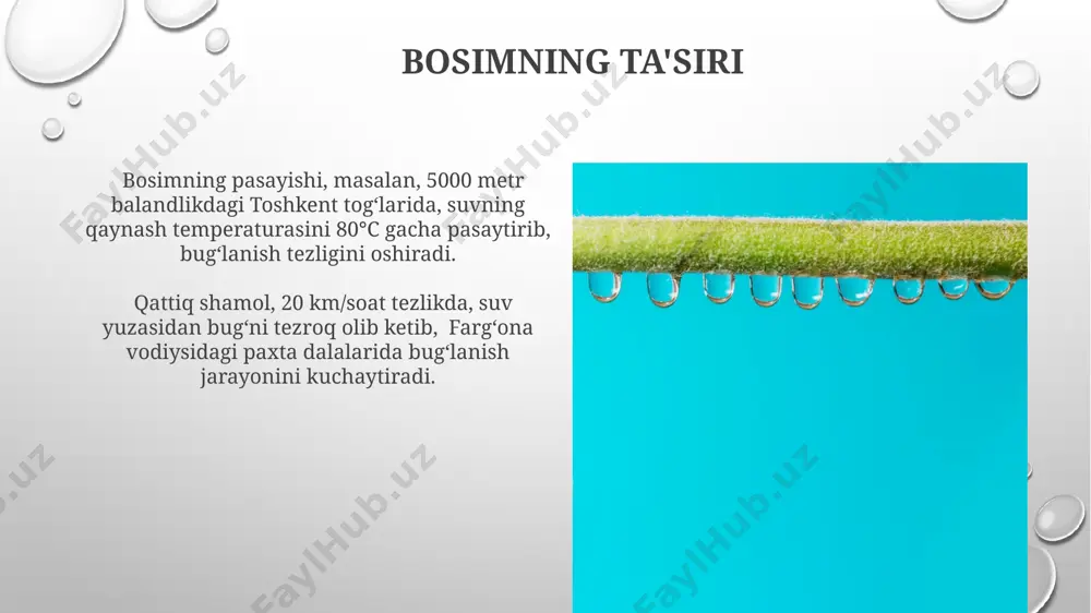 uqori bo'lib, kuniga 5 mm gacha suv bug'lanishi kuzatilishi mumkin. bug'lanish va kondensatsiya misollari qor tog‘laridagi yuqori balandliklarda (masalan, 3500 metr) sovuq havo massalarida suv bug‘ining kondensatsiyasi natijasida qor yog'ishi ro'y beradi, bu esa qor qatlamiga 10 sm gacha qor qo'shilishiga olib kelishi mumkin. toshkentdagi 10°c haroratda va 80% namlikda, oyna yuzasida kondensatsiya natijasida suv tomchilari hosil bo‘ladi, bu esa 20-30 mikrometr kattalikdagi tomchilar sifatida kuzatiladi. bug'lanish tezligini oshirish usullari bug'lanish tezligini oshirish uchun havo haroratini 25°c dan 35°c gacha oshirish, masalan, qoraqalpog'istonning quyoshli hududlarida kuzatilganidek, samarali bo'ladi, bu esa suvning bug'lanish potentsialini sezilarli darajada yaxshilaydi. yuqori namlikdagi havoda bug'lanish sekinlashadi; shuning uchun, bug'lanish tezligini oshirish uchun namlikni 30% dan 15% gacha kamaytirish, masalan, toshkentdagi quruq iqlim sharoitida, samarali bo'ladi. shamollashning ta'siri namangan viloyatida 25°c haroratda suvning bugʻlanishi tezligi, shamol tezligiga bog'liq ravishda, 15 km/soat shamol bilan 30% ga ortadi, bu esa suv havzalarining 5% tezroq qurib qolishiga olib keladi. …