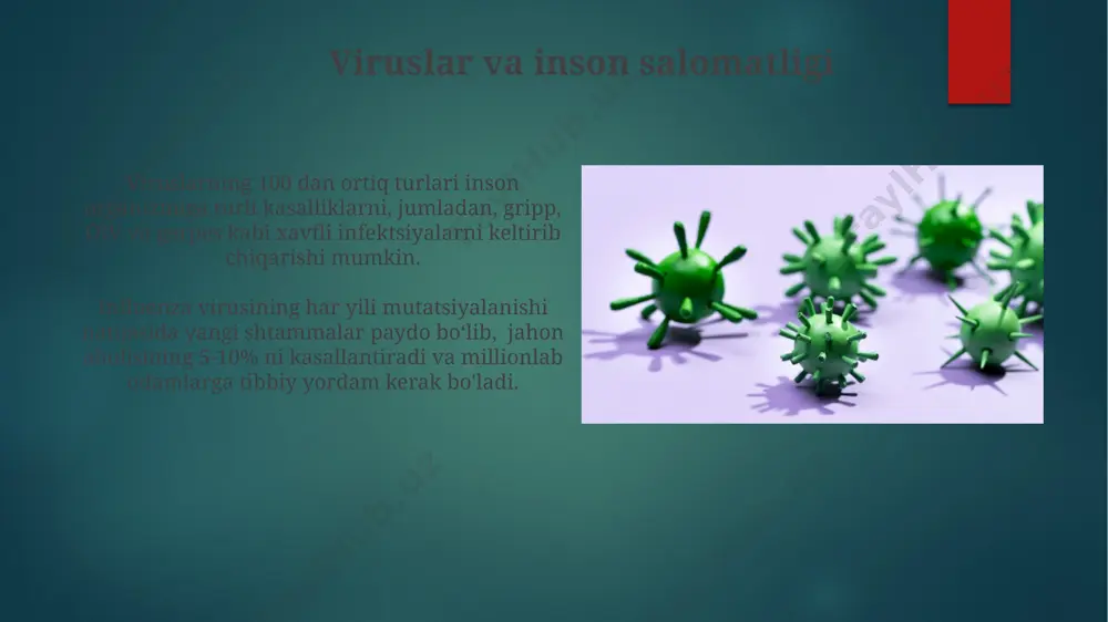 viruslar va faglar - Page 3