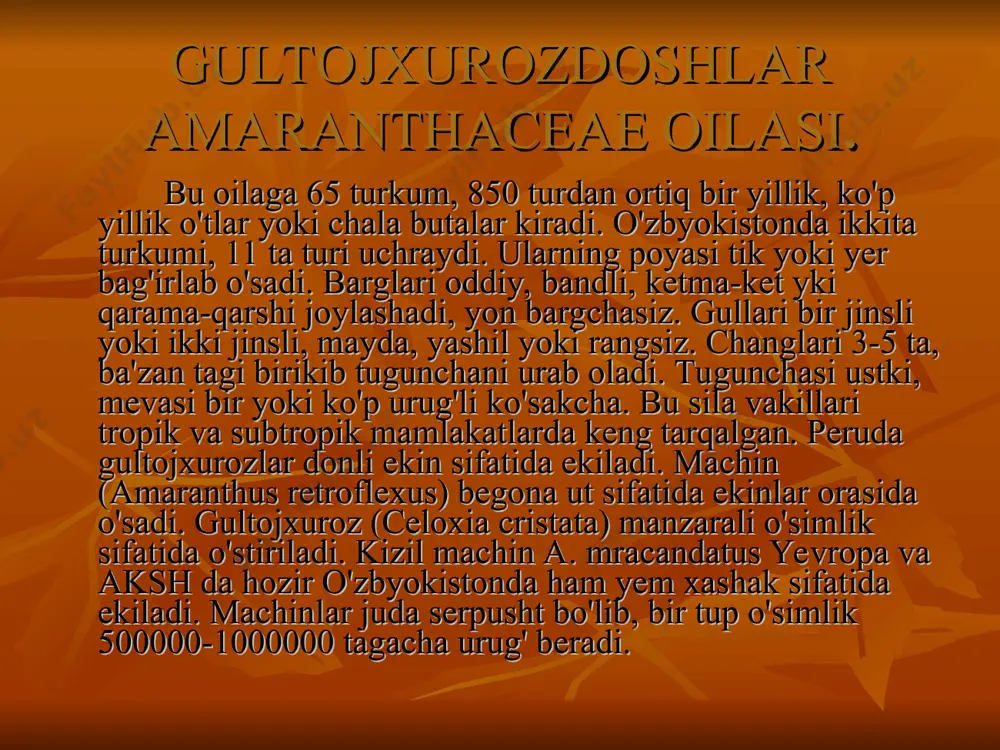 chinnigulnamolar qabilasi - Page 4