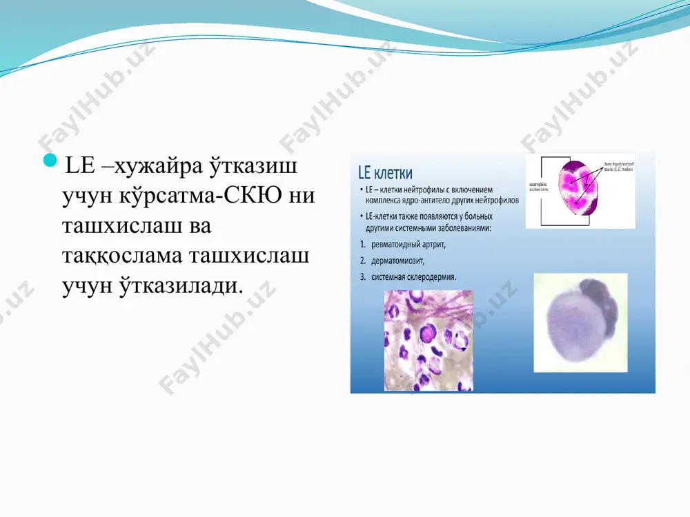 le-хужайра амалиy kўnikmasi - Page 4
