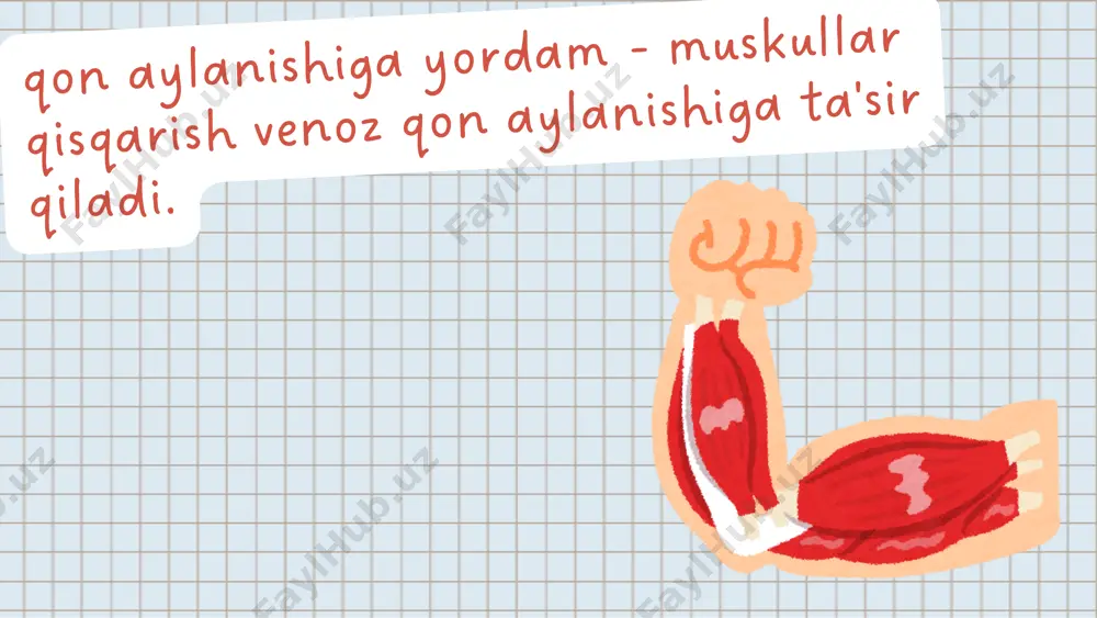 muskullar haqida umumiy ma'lumot - Page 5