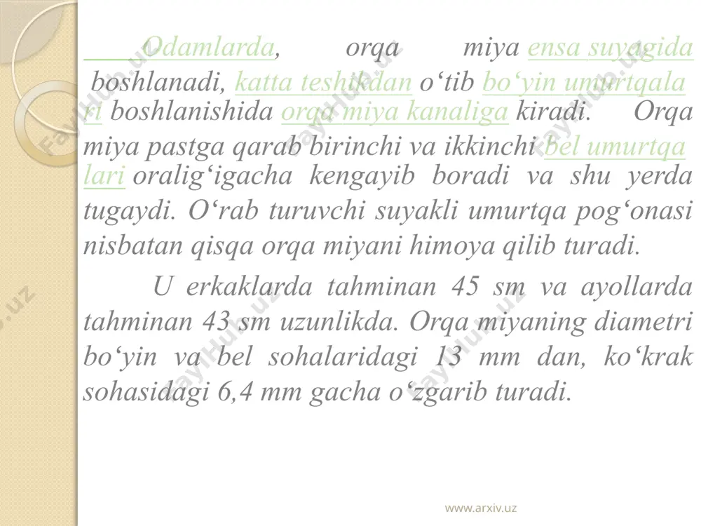 orqa miya reflekslarini o‘rganish - Page 5