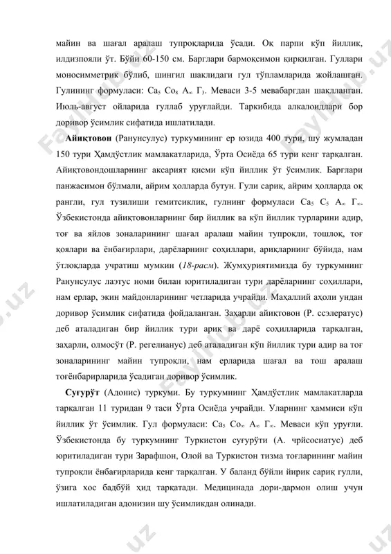 ўйли йирик сариқ гулли, ўзига хос бадбўй ҳид тарқатади. медицинада дори-дармон олиш учун ишлатиладиган адонизин шу ўсимликдан олинади. зиркдошлар оиласи — берберидаcэаэ зиркдошлар оиласи вакилларининг гинетсейи псевдо (ёлғон) мономер тузилишли тсиклик жойлашган, кам сонли (4-18 тагача, кўпинча 6 та) чангчили, улар ўз навбатида махсус қопқоқ ёрдамида очилади. оила ниҳоятда гетероген, унинг карпологияси паленологик тузилиши гул, мева ва уруғининг тузилиши, вегетатив органларининг ички ва ташқи тузилиши билан бир-биридан кескин фарқ қилади. оиланинг 12 туркумга мансуб 600 дан ортиқ тури ер юзининг турли иқлим шароитларида тарқалган. оила вакиллари асосан ўрта иқлимли минтақада учрайди. улар кўп йиллик ўт ва бута ўсимлик. барглари мураккаб ёки оддий. гули тсиклик тузилишли, гул қўрғони оддий, актиноморф, якка ҳолда ёки гул тўпламидан иборат, икки уйли этномофил. гул формуласи: р3+4 (6 та тож баргчалари нектарникка айланган) а3+3 г1. гули сариқ рангли, меваси резавор, уруғи эндоспермли. кўпчилик турлари учун берберин алкалоиди характерли. бу оиланинг ўзбекистонда зирк (берберис) ва ерсовун (леонтиcэ) …