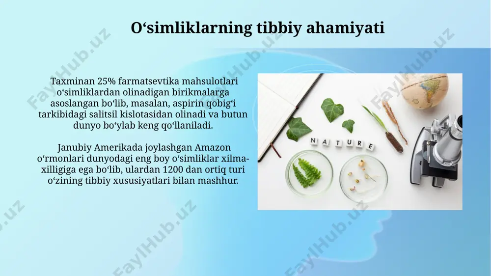 oʻsimliklarning inson va biosferadagi oʻrni - Page 3