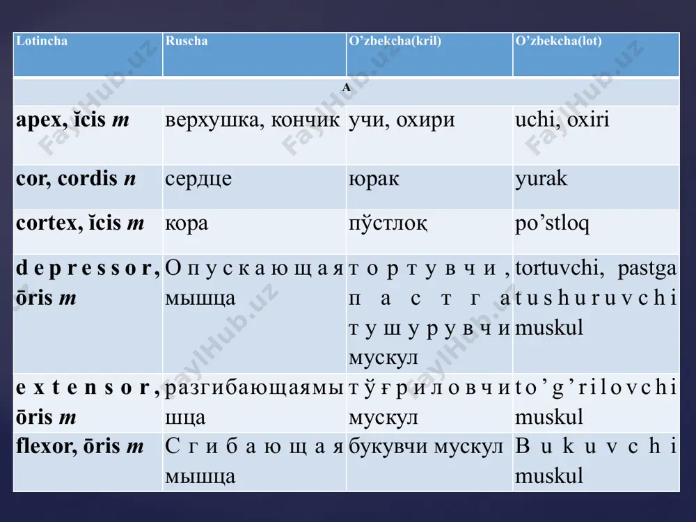3-turlanish masculinum - Page 5