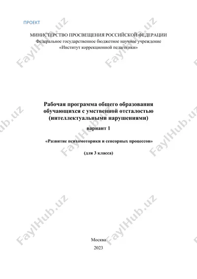 рабочая программа обучения с умственной отсталостью для 3 класса — DOCX