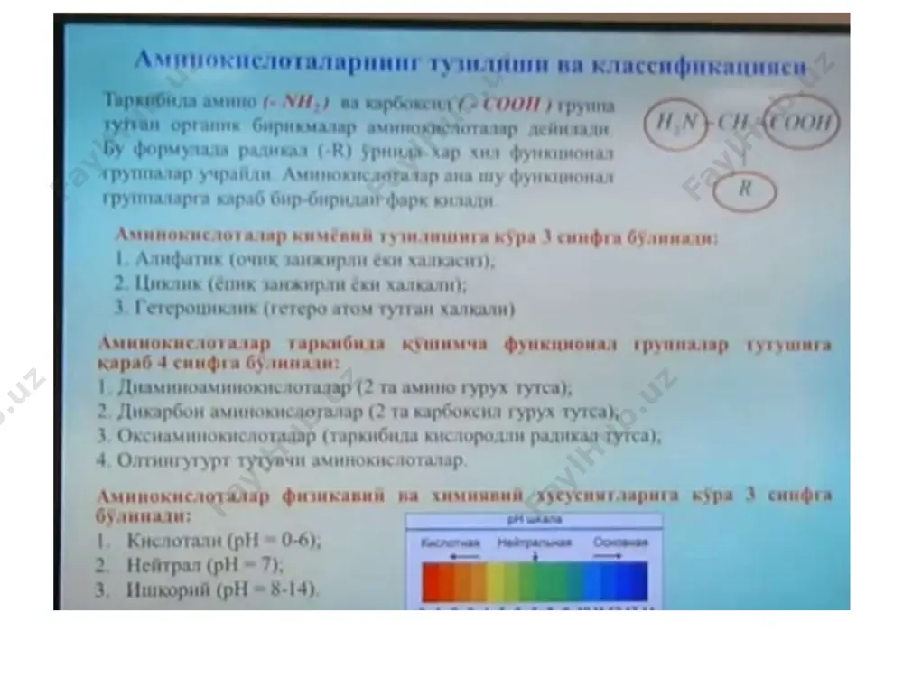 oqsil va aminokislota molekulalarining tarkibini o`rganish - Page 5