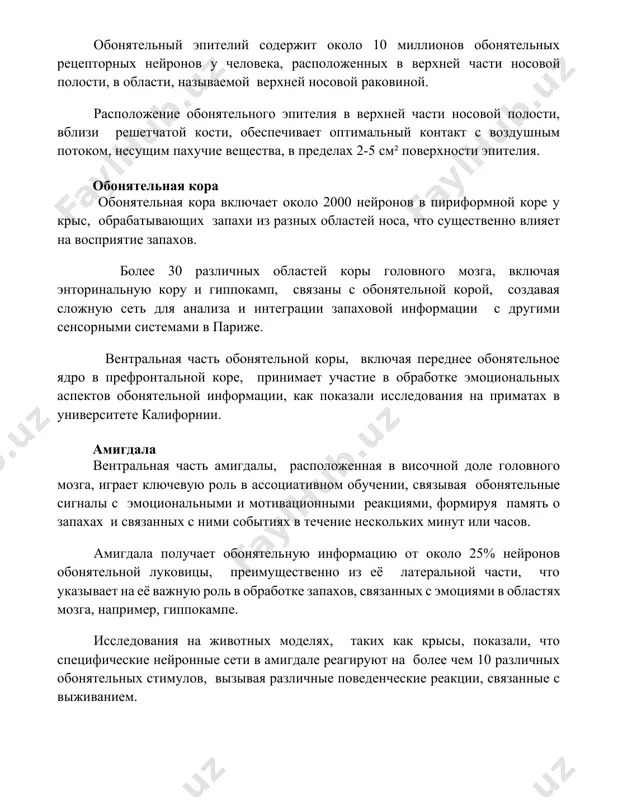 той кости, обеспечивает оптимальный контакт с воздушным потоком, несущим пахучие вещества, в пределах 2-5 см² поверхности эпителия. обонятельная кора обонятельная кора включает около 2000 нейронов в пириформной коре у крыс, обрабатывающих запахи из разных областей носа, что существенно влияет на восприятие запахов. более 30 различных областей коры головного мозга, включая энторинальную кору и гиппокамп, связаны с обонятельной корой, создавая сложную сеть для анализа и интеграции запаховой информации с другими сенсорными системами в париже. вентральная часть обонятельной коры, включая переднее обонятельное ядро в префронтальной коре, принимает участие в обработке эмоциональных аспектов обонятельной информации, как показали исследования на приматах в университете калифорнии. амигдала вентральная часть амигдалы, расположенная в височной доле головного мозга, играет ключевую роль в ассоциативном обучении, связывая обонятельные сигналы с эмоциональными и мотивационными реакциями, формируя память о запахах и связанных с ними событиях в течение нескольких минут или часов. амигдала получает обонятельную информацию от около 25% нейронов обонятельной луковицы, преимущественно …
