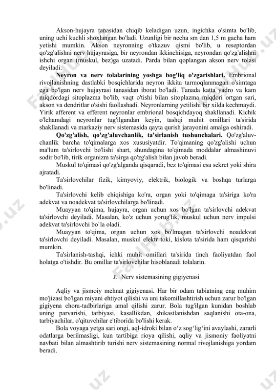 ron hujayra tanasi va turli xil uzunlikdagi o'simtalar-akson hamda dendritdan iboroat. hujayra tanasida murakkab almashinish jarayoni, akson va dendritlarga keladigan makromolekulalar sintezi, nerv hujayrasi hayot faoliyati uchun zarur bo'lgan energiya ishlab chiqarilishi amalga oshadi. nerv tanasi nobud bo'lsa, nerv hujayrasi ham nobud bo'ladi. dendritlar-qisqa (kalta) va kuchli tarmoqlangan o'simtalar bo'lib, ularning neyrondagi miqdori 1 tadan 1000 tagacha. ular ayrim nerv hujayralarini o'zaro bog'laydi va deyarli markaziy nerv sistemasidan tashqariga chiqmaydi. akson-hujayra tanasidan chiqib keladigan uzun, ingichka o'simta bo'lib, uning uchi kuchli shoxlangan bo'ladi. uzunligi bir necha sm dan 1,5 m gacha ham yetishi mumkin. akson neyronning o'tkazuv qismi bo'lib, u reseptordan qo'zg'alishni nerv hujayrasiga, bir neyrondan ikkinchisiga, neyrondan qo'zg'alishni ishchi organ (muskul, bez)ga uzatadi. parda bilan qoplangan akson nerv tolasi deyiladi. neyron va nerv tolalarining yoshga bog'liq o'zgarishlari. embrional rivojlanishning dastlabki bosqichlarida neyron ikkita tarmoqlanmagan o'simtaga ega bo'lgan nerv hujayrasi tanasidan iborat bo'ladi. tanada katta yadro va kam miqdordagi sitoplazma …