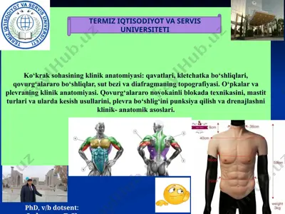 ko‘krak sohasining klinik anatomiyasi — PPTX