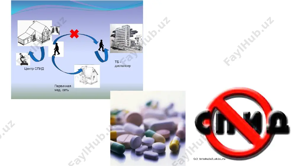 sil va oitsning birgalikda kechishi, klinikasi, diagnostikasi, prognozi - Page 4