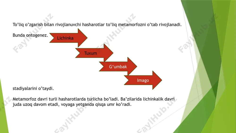 antiradi va tuproqni ozuqa moddalari bilan ta’minlaydi. bu elementlar organik moddalarni qayta ishlovchi tuproq bakteriyalari uchun oziq-ovqat hisoblanadi. uchinchi fakt: chumolilar urug’larni olib yuradi va shu bilan o’simliklarning tarqalishiga yordam beradi. to’rtinchi fakt: chumolilar o’lik yog’ochning tez parchalanishiga yordam beradi. ular foydali tuproq hosil qiluvchi funksiyaga ega bo’lgan boshqa hashoratlar va aholi yashash joylari uchun qulay sharoitlar yaratadi. beshinchi fakt: chumolilar tirtillar, shilimshiqlar, barglar bilan oziqlanadigan va boshqa zararkunanda hashoratlarni qiladi. ammo chumolilarning zarari haqida nima deyish mumkin? chumolilar asal (sut) shira bilan oziqlanishi aniqlangan. bu maqsadlar uchun ular o’simlikka zarar etkazadigan aphid koloniyalarini ko’paytiradilar. ular yerdagi begona o’tlarning tashuvchisidir. bundan tashqari, ular shirin mevalar va rezavorlarni yaxshi ko’radilar va ularni uyasida yeyishadi. bu mahsulot sifatiga va uning hosildorligiga salbiy ta’sir qiladi. shuningdek, ular shirin gul kurtaklari bilan ham oziqlanadilar. bu esa, o’simlikning to’liq quvvat bilan gullashiga to’sqinlik qiladi. ular oilalari ekilgan urug’larni va o’simlik ildizlarini kemirib hosilga salbiy ta’sir …