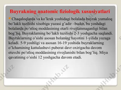 buyrakning anatomic-fiziologik xususiyatlari — PPTX