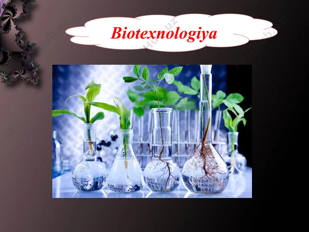 biotexnologiya obektlari e coli zamburug’larning umumiy xususiyatlari - Page 3