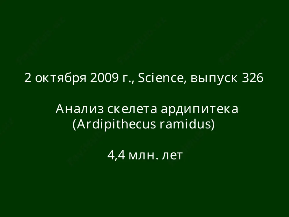 problemy evolyutsii cheloveka v sovremennoy antropologii - Page 5