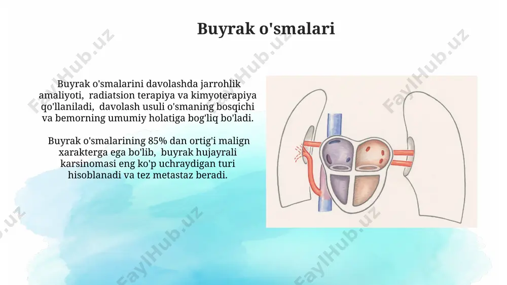 buyrak klirensi - Page 5