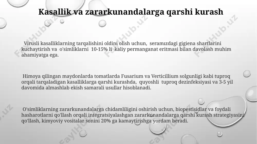 va 15-20% kaliy tarkibiga ega muvozanatli mineral o'g'itlar qo'llash kerak. bargli o'g'itlash usuli yordamida mikroelementlar (temir, marganes, sink) bilan qo'shimcha oziqlantirish, pomidor mevalarining sifatini yaxshilash va kasalliklarga chidamliligini oshirishga yordam beradi. e'tiboringiz uchun rahmat @taqdimot_robot image1.png image2.png image3.png