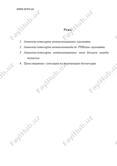 трансляция босқичлари — DOC
