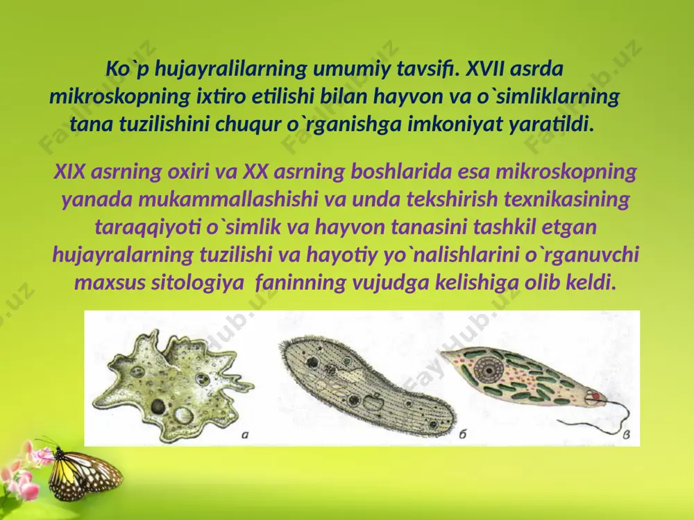 ng yo‘nalishi organizmning harakat yo‘nalishi “lokomotor o‘q” bilan mos tushgan. 4. protozoa – lardan eng katta farqi, ular ko‘zga ko‘rinadigan yirik organizmlardir. bulardan tashqari ko‘p ho‘jayrali hayvonlarda turli funksiya va vazifalarni bajarishga ixtisoslashgan organlar sistemalarining shakllanishi turli muhitda yashash uchun juda katta imkoniyatlarni beradi. 3. skelet – funksiyasi organizmni himoya qilish va tayanch, muskullar harakatini yengillashtirish bo‘lib, 2 ta ekzoskelet va endoskeletdan iborat bo‘ladi. 1. ho‘jayra – gavdasi turli xil vazifalarni bajarishga ixtisoslashgan ho‘jayralardan tuzilgan. 2. to‘qima - 2 xil epitelial va biriktiruvchi to‘qimalar. epitelial to‘qima ham epiteliy, epidermis, kutikula kabi tiplarga bo‘linadi. epitelial ho‘jayralarda odatda xivchin va kipriklar birikkan bo‘ladi. biriktiruvchi to‘qima – bular ho‘jayralari bir-biriga jips birikmagan bo‘lib g‘ovak joylashgan bo‘ladi. ko‘p hujayralilar kelib chiqishi va evolyutsiyasi. ko’pgina mutaxassislarning e’tirofiga ko’ra ko’p hujayrali hayvonlar evolyusion taraqqiyot jarayonida bir ho’jayrali hayvonlarning koloniya bo’lib yashovchi formalaridan kelib chiqqan. lekin ko‘p hujayralilar kelib chiqishi va evolyutsiyasida hozirgi vaqtda bir nechta nazariyalar …