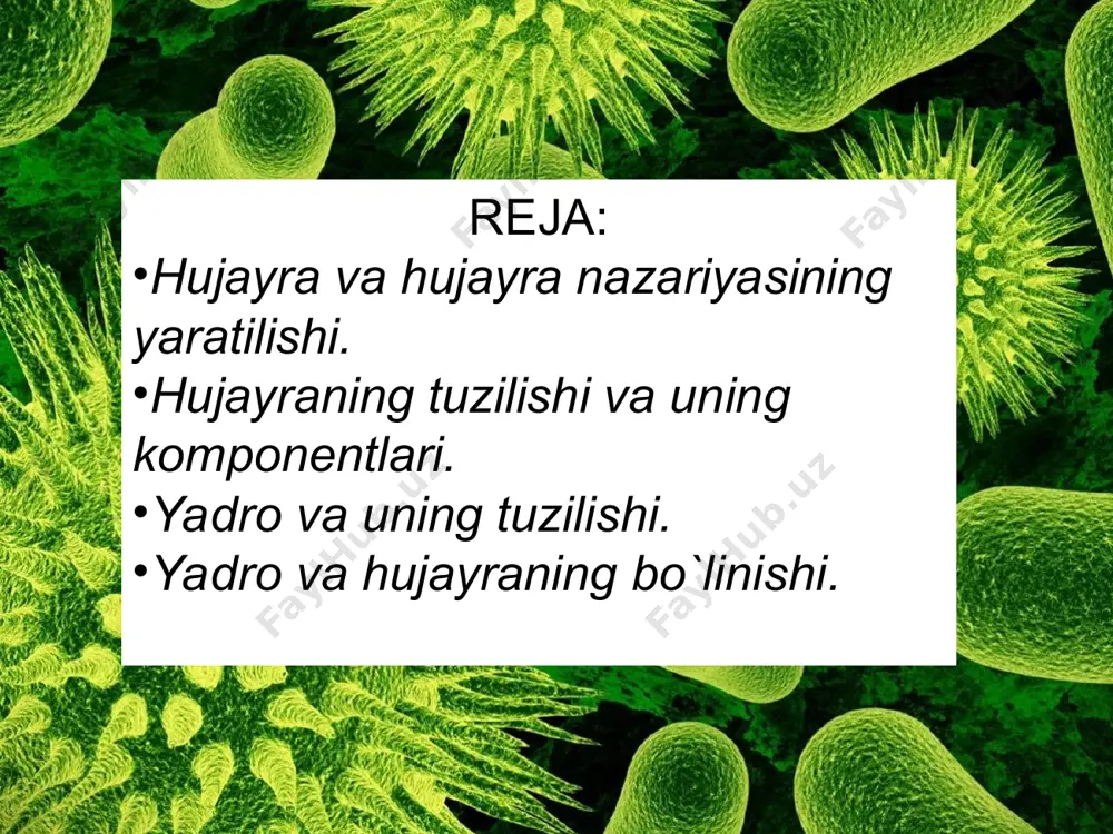 da u ko`p qirrali bo`ladi. erkin holatda esa sharsimon, yulduzsimon, silindrsimon shakllarda bo`ladi. hujayra, asosan 3 qismdan: tashqaridan o`rab turuvchi hujayra po`sti, markazida joylashgan vakuola va hujayra shirasi – protoplastdan iborat. hujayra po`sti va vakuola uning o`lik qismi, protoplast esa tirik qismidir. protoplast o`z navbatida sitoplazma va yadrodan tashkil topgan. protoplastning faoliyati tufayli hujayra po`sti va hujayra shirasi ishlab chiqariladi. hujayra shirasi turli organik va mineral moddalarning suvdagi eritmasidir. elektron mikroskopda qaralganda, endoplazmatik to`r kanalchalarining tashqi yuzasida va bevosita sitoplazma qavatida yumaloq mayda tanachalarni ko`rish mumkin. bular ribosomalar deb ataladi. ular ribonuklein kislotaning (rnk) spiralsimon shaklli bir nechta molekulasidan tashkil topgan. rnk spirali o`rami orasida oqsil mulekulalari joylashadi va ular oqsil moddalarini sintezlab, muhim vazifani bajaradi. oqsil sintezlanishi uchun ribosomalardagi rnk molekulalari hujayra yadrosidagi dnk molekulalaridan ajraladigan informasion rnk ning alohida molekulalari tomonidan aktivlashtirilishi kerak. o`simliklar hujayrasining sitoplazmasida kalta tayoqchalar shaklidagi mitoxondriyalar bo`ladi. ularning bo`yi 0,2-2,0 mkm gacha bo`lib, ko`pincha …