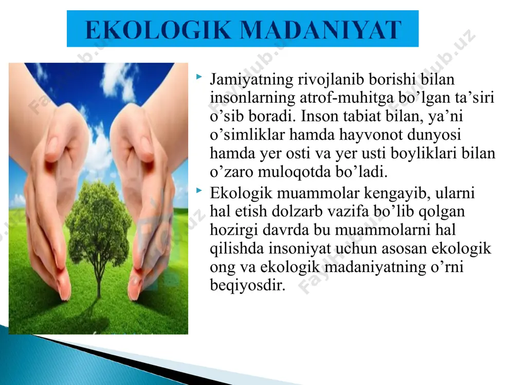 in insoniyat tabiatdan foydalanib uni qayta tiklanishiga e’tibor qaratilishini kech bo’lsada, tushunib yetdi. insonlar madaniyati shakllanib rivojlana borar ekan, tabiat in’omlari bo’lmish o’simlik va hayvonot dunyosi turlarini bir qanchasini madaniylashtirib, o’zlari uchun foydalanishni amalga oshirish jarayoni hozirda ham davom etayotgan jarayondir. * o‘zbekistonning ekologiya sohasidagi xalqaro hamkorligi jahon banki, yevropada havfsizlik va hamkorlik tashkiloti (exxt) va boshqalar o‘zbekistondagi ekologik muammolarni hal qilish ishiga katta hissa qo‘shmoqdalar. o‘zbekistondagi ekologiya va salomatlik fondi- "ekosan", nodavlat tashkilotlari ekologik muammolarni hal qilishda, xalqaro hamkorlikni muvofiqlashtirish ishiga o‘z hissasini qo‘shmoqda. mustaqil davlatlar hamdo‘stligi (mdx) mamlakatlari qelishuviga binoan ekologiya sohasidagi hamkorlik 1992- yil tuzilgan davlatlararo ekologik ittifoq (dei) orqali amalga oshiriladi. ekologiya muammolarini hal qilishda o‘zbekiston respublikasi markaziy osiyo davlatlari, osiyo, yevropa, amerika va tinch okeani mintaqasi mamlakatlari bilan ikki tomonlama va ko‘p tomonlama hamkorlikni rivojlantirmoqda. * 1.ekologik madaniyat tushunchasiga qanday ta’rif berasiz? 2.yer yuzida qanday murakkab ekologik muammolar paydo bo’lmoqda? 3.orol muammosi haqida nima deya …