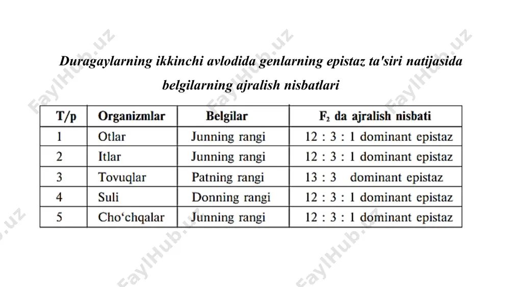 noallel genlarning ta’sirida belgilarning irsiylanishi (epistaz) - Page 3
